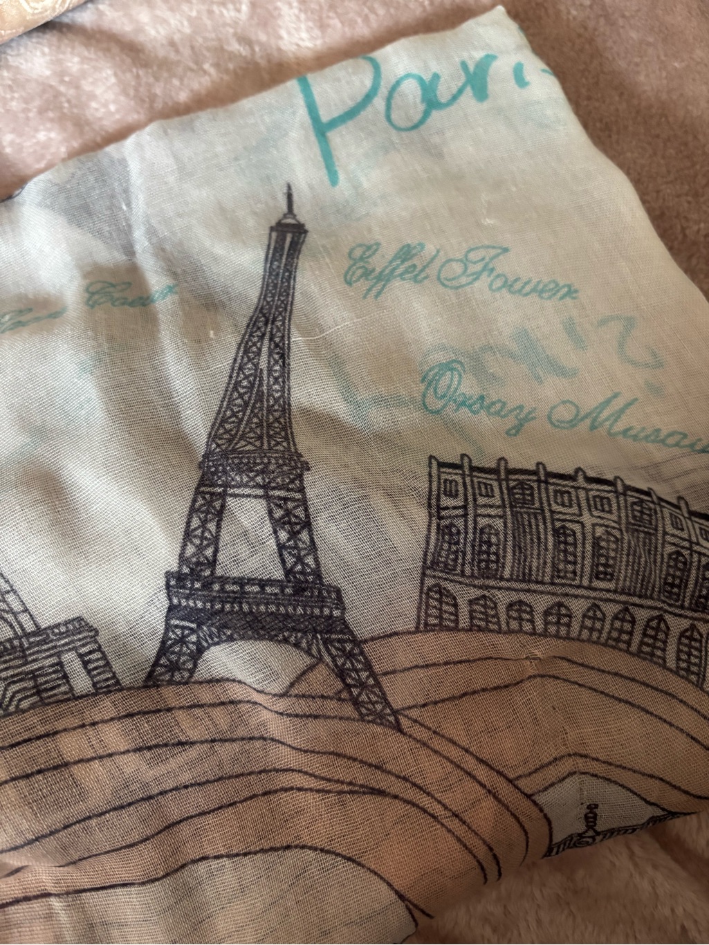 Aris Paris Landmark Scarf In Teal And Pink